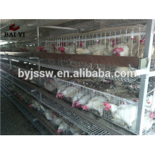 Poultry Farm Design Layout For Chicken Layer Cage Shed